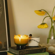 Candela Profumata Tulipano Verbana e Citronella - PaddyWax