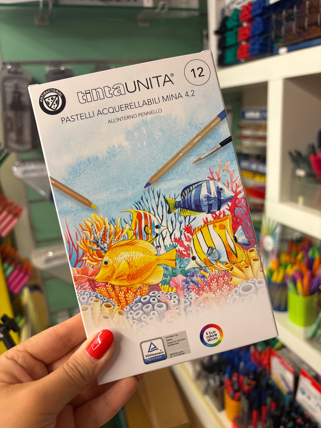 Pastelli Acquerellabili set da 12 - Tinta Unita
