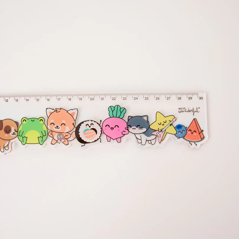 Righello trasparente 30 cm - Mr Wonderful