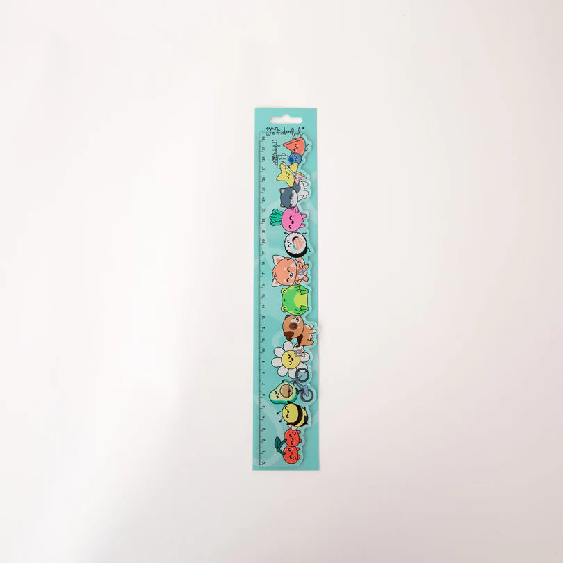 Righello trasparente 30 cm - Mr Wonderful