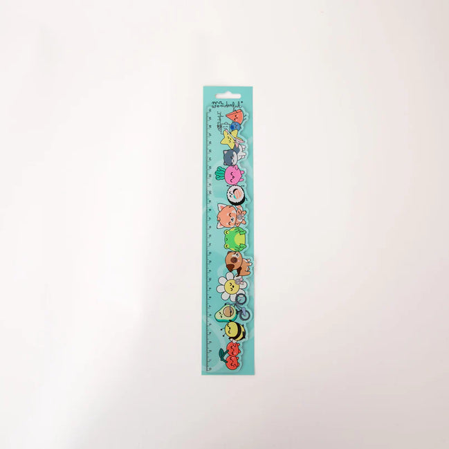Righello trasparente 30 cm - Mr Wonderful
